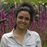 Mariana Ordoñez Grajales