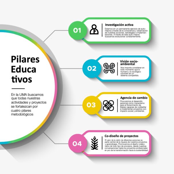 infografía pilares1