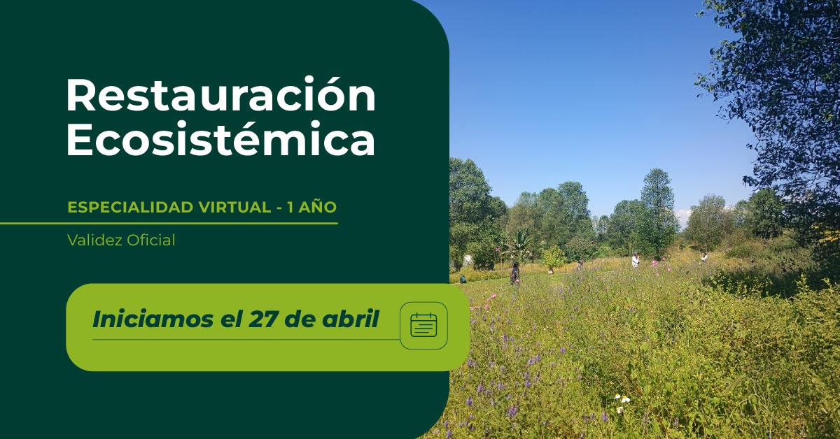Restauración Ecosistémica