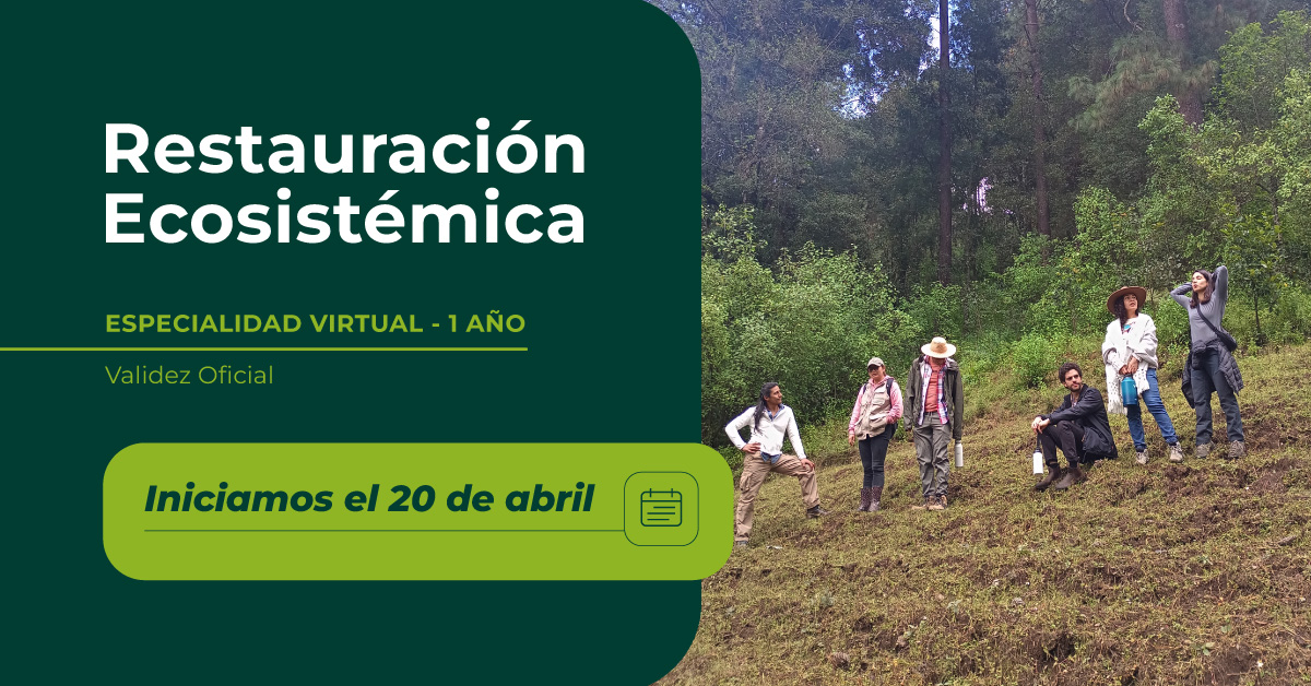 Restauración Ecosistémica