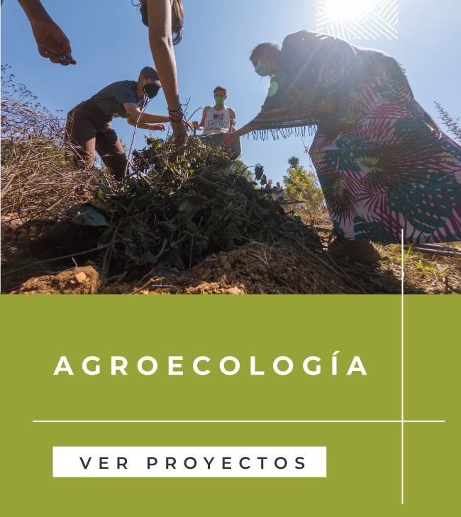 portada-disciplina-agroecologia