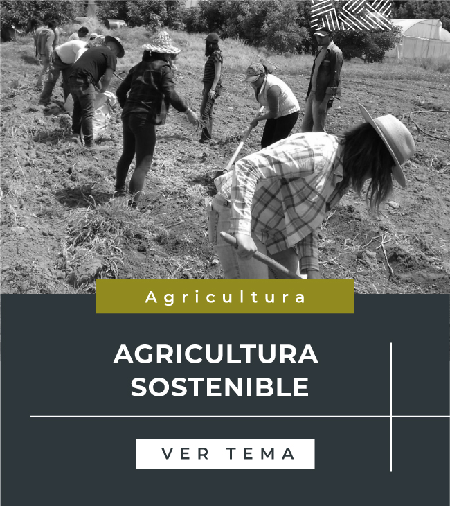 portada-tema-agricultura–agricultura-sostenible