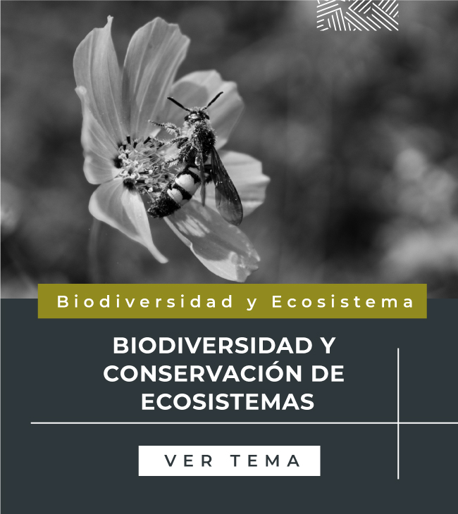 portada-tema-biodiversidad-y-ecosistemas-biodiversidad-y-conservacion-de-ecosistemas