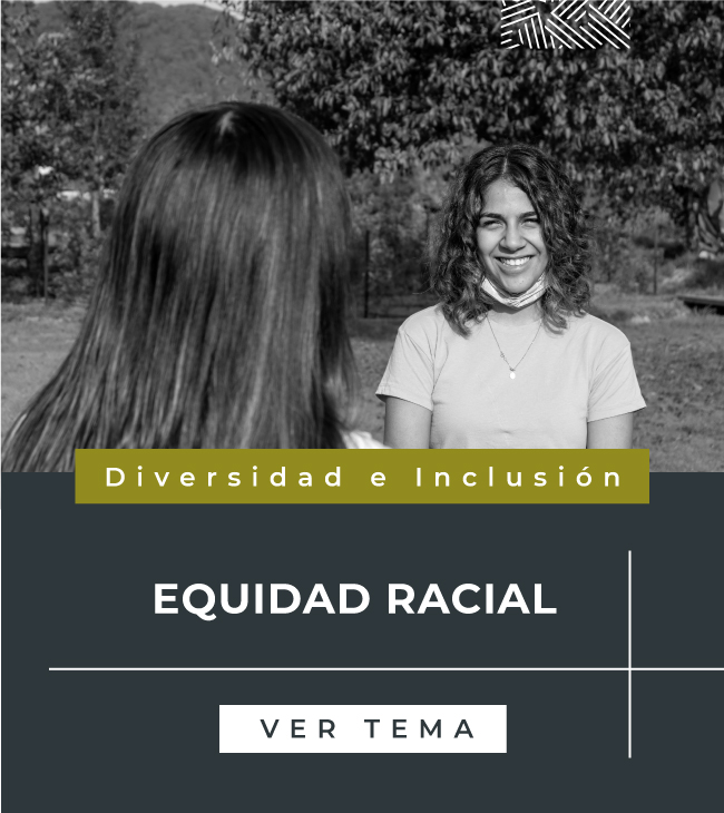 portada-tema-diversidad-e-inclusion-equidad-racial