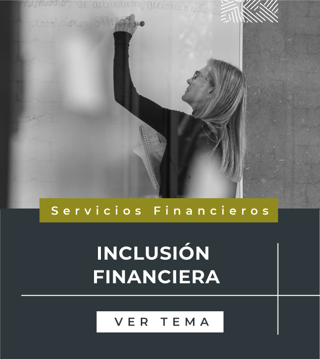 portada-tema-servicios-financieros-inclusion-financiera