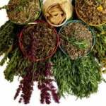 El uso de plantas medicinales es una tradición cultural de muchos pueblos alrededor del mundo.