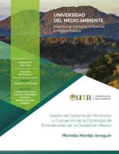 DISEÑO DEL SISTEMA DE MONITOREO Y EVALUACIÓN DE LA ESTRATEGIA DE