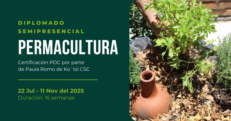 Permacultura