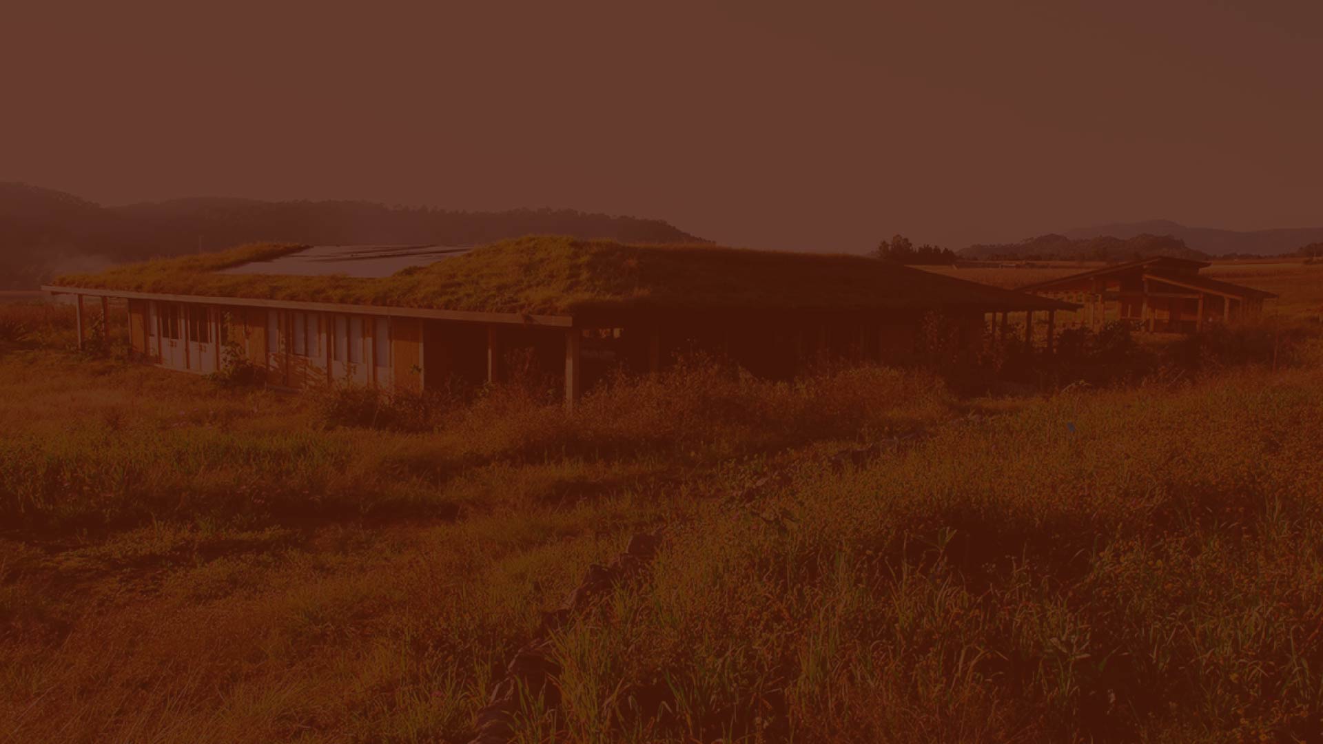 parallax background
