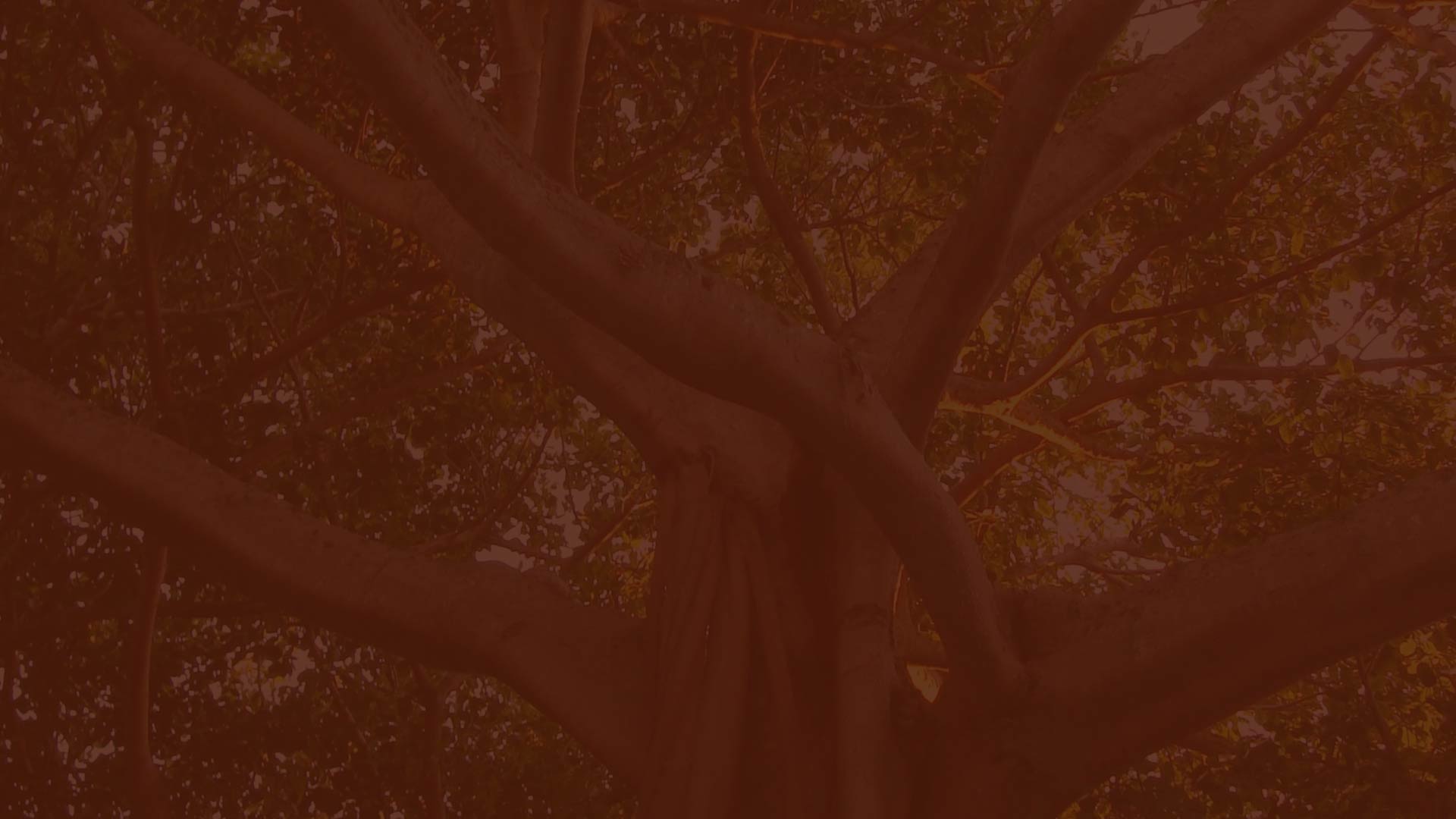 parallax background