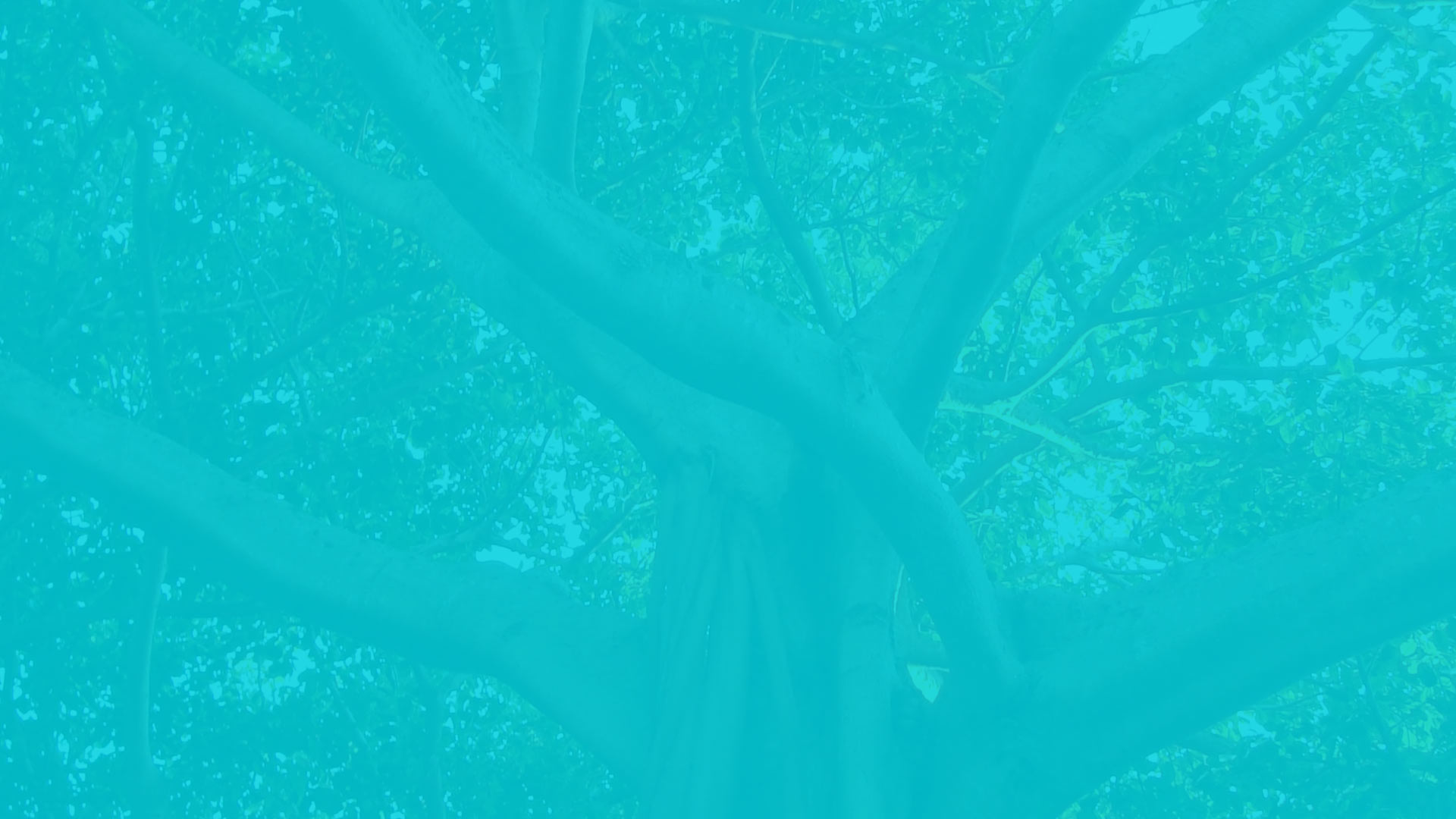 parallax background
