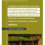 Codiseño de diagnóstico y elección de alternativas de incidencia