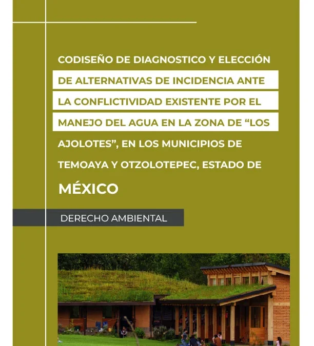 Codiseño de diagnóstico y elección de alternativas de incidencia