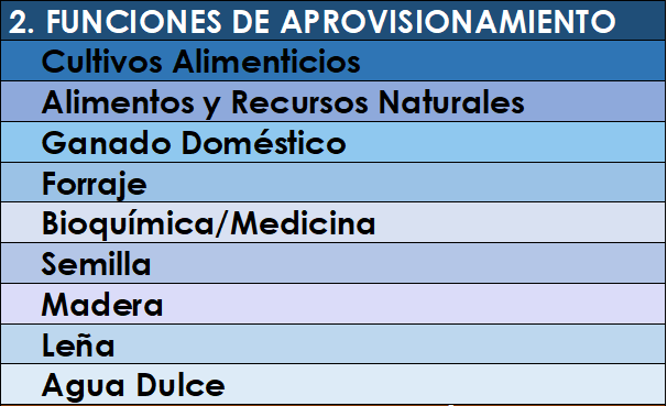 Tabla Nº 3: Funciones Agroecosistémicas de Aprovisionamiento