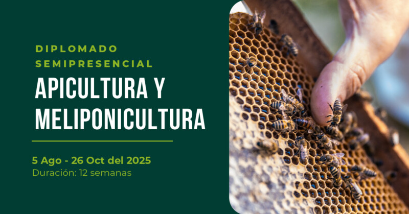 Apicultura y Meliponicultura