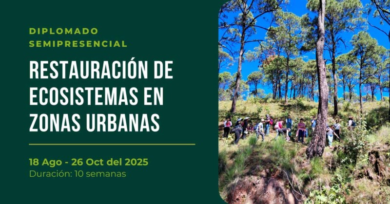 Restauración de Ecosistemas en Zonas Urbanas