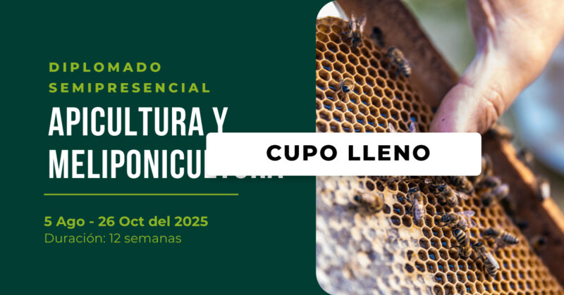 Apicultura y Meliponicultura