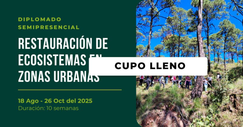 Restauración de Ecosistemas en Zonas Urbanas