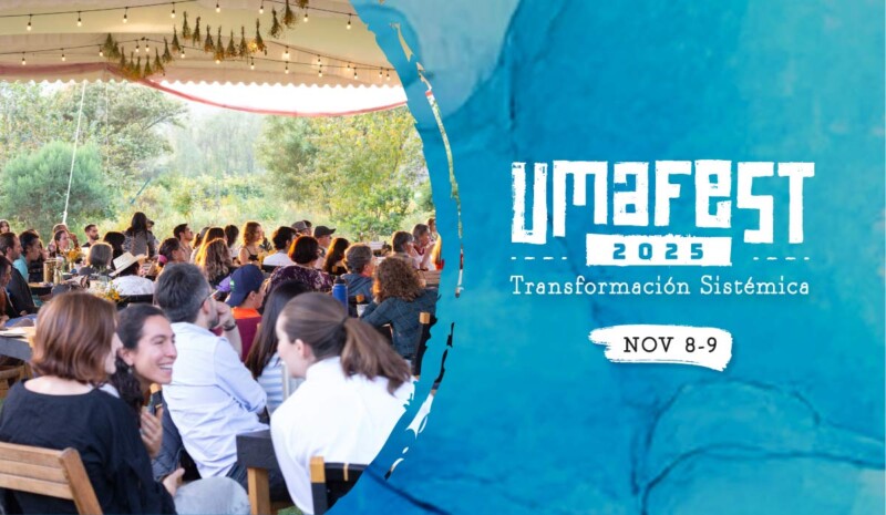 UMAFEST 2025