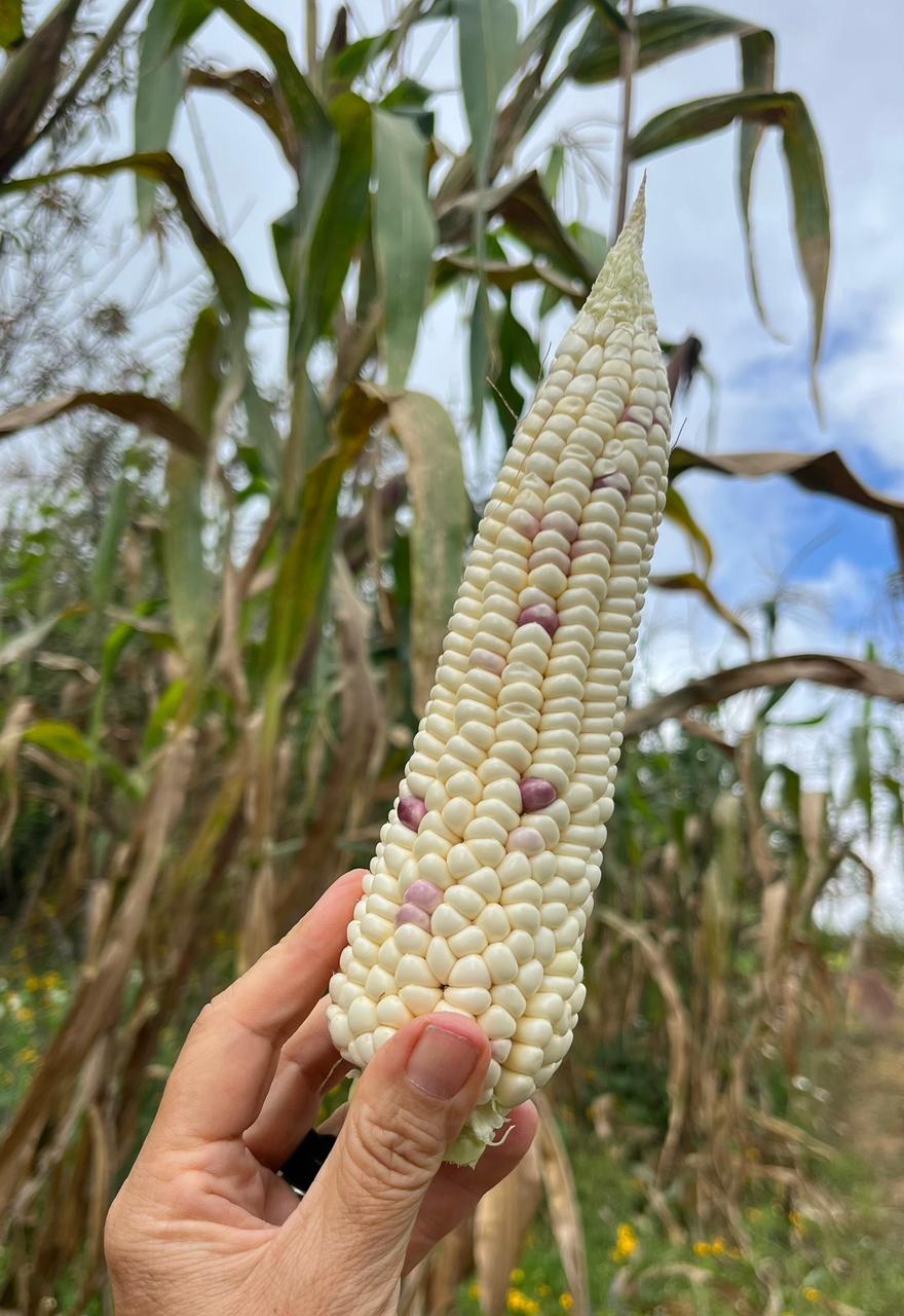 Foto de Marcela Treviño