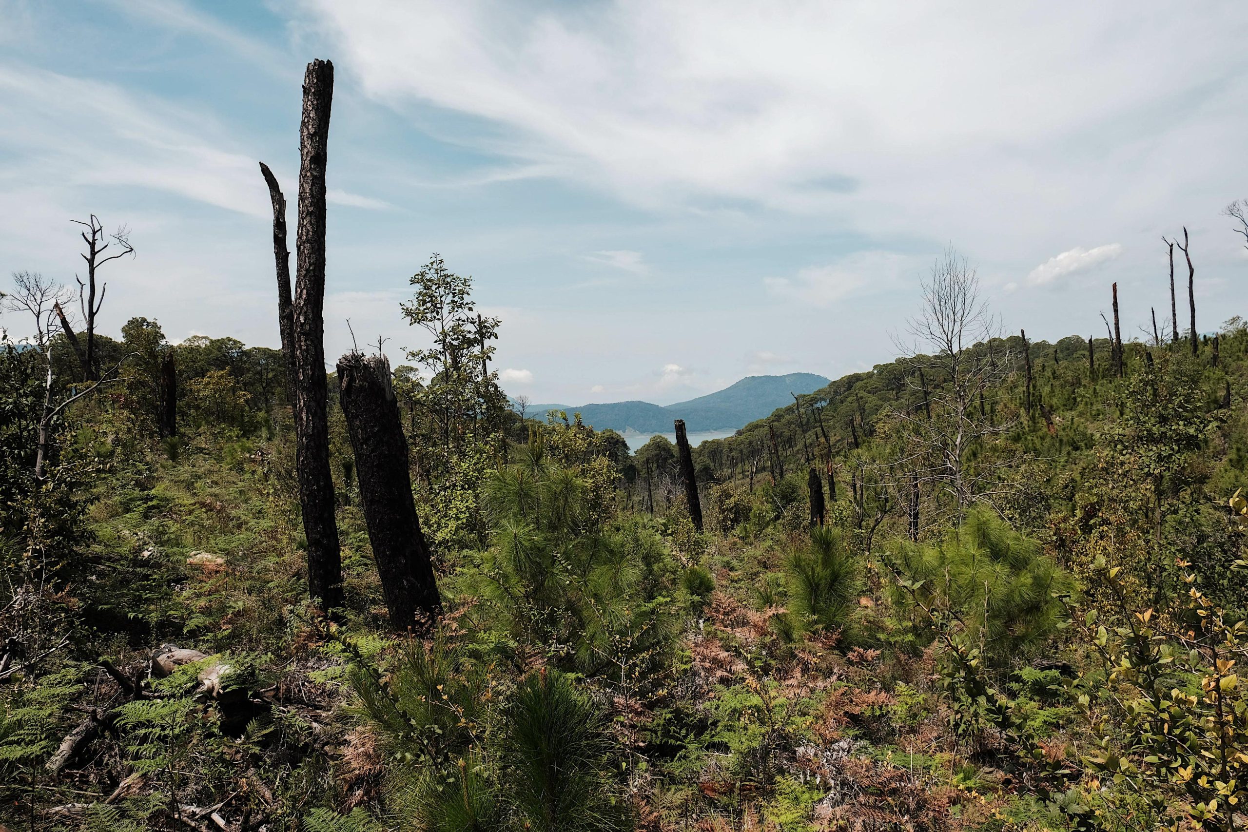 Visita a Monte Alto por Angie Ro.
